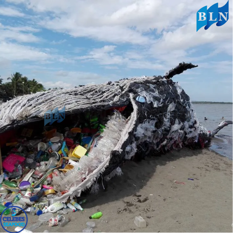 Plastic Waste in the Ocean: A Growing Crisis